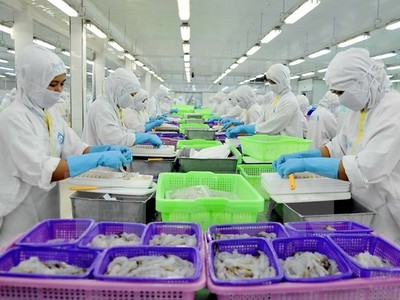 Kl991.com World Cup 2026 Chính Thức xuất khẩu cận kề cánh cửa mới từ CPTPP