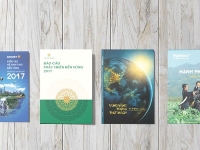 Ấn tượng Top 10 báo cáo phát triển bền vững 2018