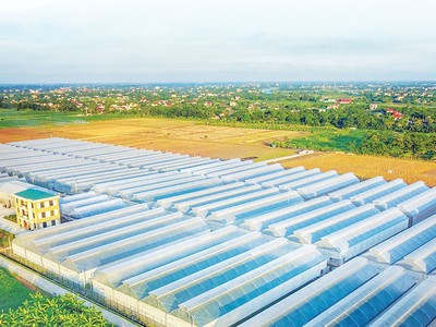The PAN Group và hành trình tạo dựng giá trị bền vững