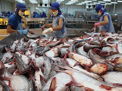Xuất Link Vào Nhà Cái KL99 COM Tặng +199k thủy sản An Giang (AGF) vướng vụ kiện chống phá giá nên chậm công bố thông tin