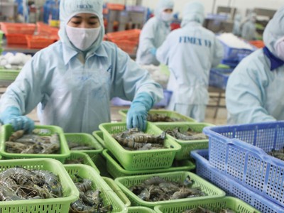 CPTPP có “thắp sáng” hơn triển vọng ngành thủy sản? 
