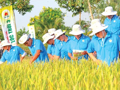 Lộc Trời nuôi tham vọng lớn trên hành trình nông nghiệp bền vững