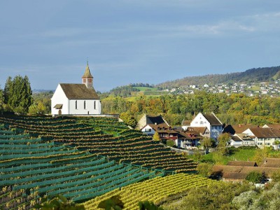 Một góc làng Rheinau tại Thụy Sỹ. Ảnh: AFP.