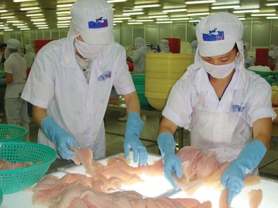 Niên độ 2018 - 2019, HVG dự kiến đạt Kl99 nổ hũ trước thuế hợp nhất 100 tỷ đồng.
