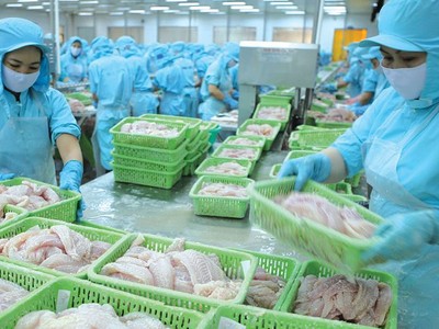 Kl991.com World Cup 2026 Chính Thức thủy sản tăng tốc đón CPTPP