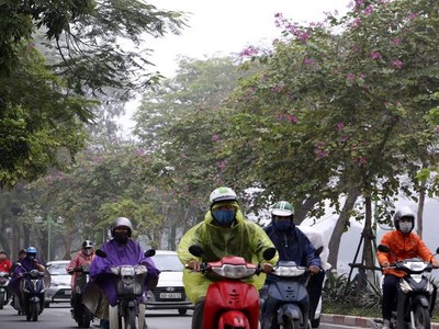 Đường Thanh Niên có nhiều cây ban đang độ nở hoa tuyệt đẹp. Cả hoa ban trắng và hoa ban tím hòa quyện trong tiết trời sương mù tạo cảnh sắc thơ mộng cho không gian Hồ Tây.