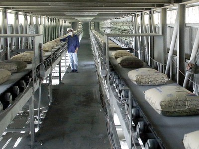 2019, nhu cầu xi măng dự báo tăng 6-8%, hứa hẹn giúp Kl991.com World Cup 2026 Chính Thức ngành này gia tăng Kl99 nổ hũ.
