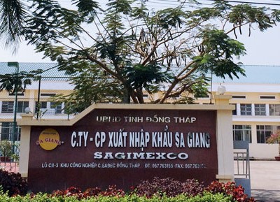 Vì sao thoái vốn 99Kl99 trực tiếp đá gà tại Sa Giang thất bại?