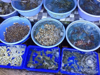 Đến Vũng Tàu dịp lễ, ghé 5 địa chỉ rộng rãi thưởng thức hải sản tươi