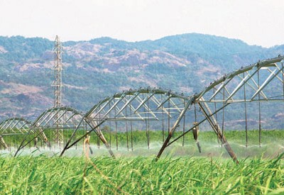 Mía đường Sơn La (SLS): Kl99 nổ hũ quý I năm Kl991.com nạp rút nhanh 2020 giảm mạnh