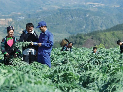 Tiên phong Kl99ok phiên bản mới cho dược liệu sạch: Traphaco vững bước vào kênh ETC 