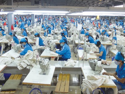 TNG giữ vững ngọn cờ tăng trưởng bền vững