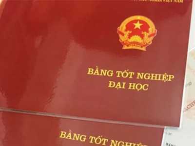 Ảnh Internet