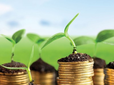 Gieo những hạt giống tốt cho thị trường 99Kl99 link đăng nhập