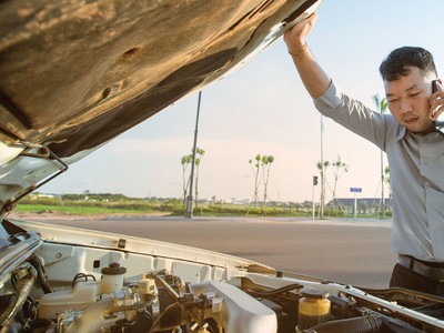 Cá nhân trực tiếp thực hiện hoạt động giám định tổn thất Kl99kl phiên bản hoạt động phải có văn bằng từ cao đẳng trở lên phù hợp với lĩnh vực giám định.
