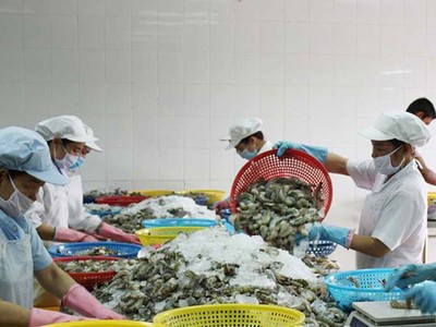 Kim ngạch xuất khẩu thủy sản năm 2029 đạt trên 8,6 tỷ USD