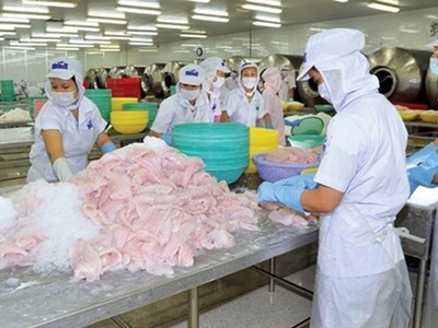 Có hay không việc kéo, xả KL99 là cổng game giải trí trực tuyến hàng đầu hiện nay HVG?