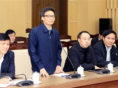 Phó Thủ tướng Vũ Đức Đam phát biểu chỉ đạo. (Ảnh: Hoàng Hùng/TTXVN.