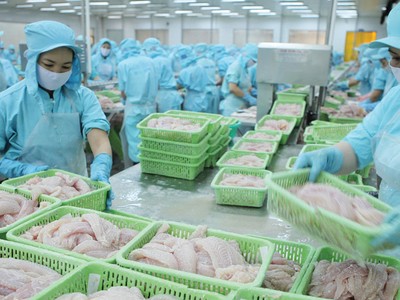 Kl991.com World Cup 2026 Chính Thức thuỷ sản tìm đường bù đắp thị trường Trung Quốc