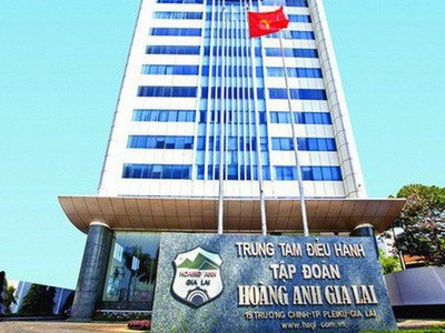 Việc thanh lý các công ty con thuộc ngành điện được coi là giải pháp hợp lý cho Hoàng Anh Gia Lai nhằm giảm bớt sự dàn trải và tập trung vào ngành nghề chủ lực.
