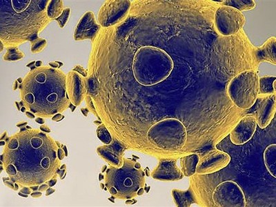 Hình ảnh do Cơ quan dược phẩm và thực phẩm Mỹ cung cấp về virus SARS-CoV-2 gây dịch viêm đường hô hấp cấp COVID-19. (Ảnh: AFP/TTXVN).