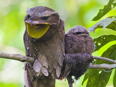 Ảnh Shutterstock.
