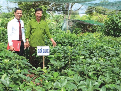 Agribank giữ vững “trận địa” nông thôn, vùng sâu, vùng xa
