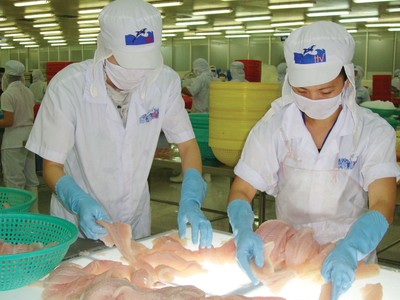 Thủy sản Hùng Vương (HVG) từng công bố báo cáo Kl991.com nạp rút nhanh kiểm toán hợp nhất với mức lỗ 1.075 tỷ đồng, tăng 600 tỷ đồng so với báo cáo tự lập.