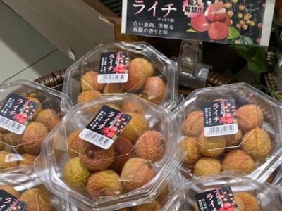 Ngày 15/7 sẽ diễn ra tọa đàm “Câu chuyện thành công của vải thiều Việt Nam sang Nhật Bản“