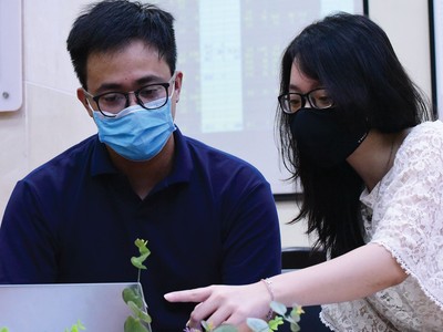 Cơ hội ẩn trong đà giảm của 99Kl99 link đăng nhập ASEAN