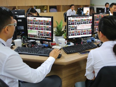 Không chờ đến khi các môi giới tư vấn thông tin, nhiều nhà Kl99ok phiên bản mới đã chủ động hỏi nên “vào mã nào” hay “mã nào còn triển vọng”. Ảnh: Lê Toàn