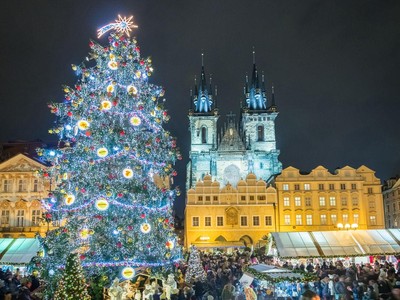 Giáng sinh mùa Covid, chiêm ngưỡng những cây thông Noel ấn tượng nhất châu Âu