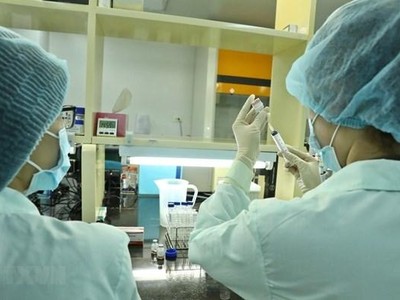 Nhân viên Công ty trách nhiệm hữu hạn một thành viên vaccine và Sinh phẩm số 1 (VABIOTECH) thử nghiệm định lượng protein trong vaccine ngừa COVID-19. (Ảnh: Minh Quyết/TTXVN).