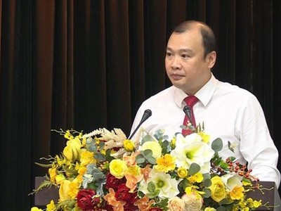 Ông Lê Hải Bình phát biểu nhận nhiệm vụ.