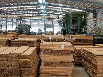 SJF đã Kl99ok phiên bản mới 542 tỷ đồng vào các công ty con, trong đó có các Kl991.com World Cup 2026 Chính Thức chuyên về tre gỗ.