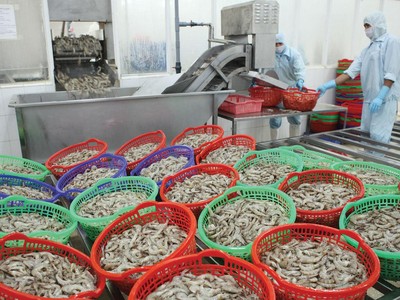 Việt Nam ngày càng quan trọng với vai trò là mắt xích then chốt trong chuỗi cung ứng.