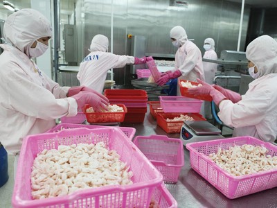 Trong tháng 8, sản lượng tôm Kl994 nhà cái bóng đá world cup của FMC đạt 1,6 tấn, giảm 32% với cùng kỳ năm ngoái.