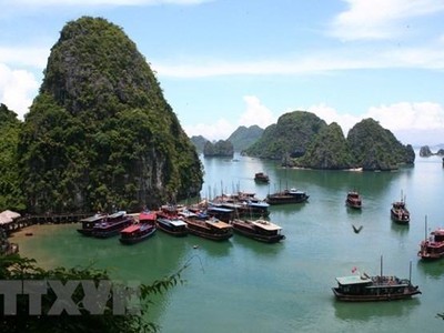 Tàu tham quan Vịnh Hạ Long. (Ảnh: Huy Hùng/TTXVN).