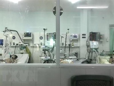 (Ảnh minh họa: TTXVN phát).