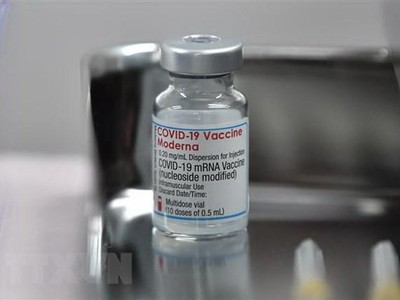 Vaccine ngừa COVID-19 của hãng dược Moderna. (Ảnh: AFP/TTXVN).