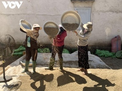 Người dân Đắk Lắk tích cực lao động Kl994 nhà cái bóng đá world cup và tuân thủ nghiêm các quy định phòng dịch