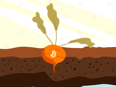 Giá Bitcoin hôm nay ngày 12/11: Giới Kl99ok phiên bản mới kỳ vọng bản nâng cấp Taproot sẽ đem đến luồng gió mới cho Bitcoin