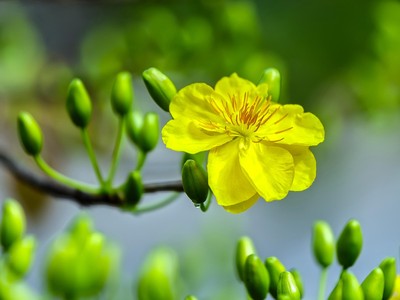 Lửa thử vàng!