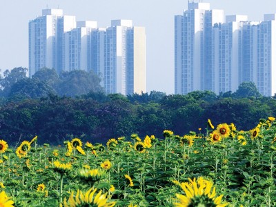 Một “bình minh” mới cho thị trường khởi đầu từ quý IV/2021.