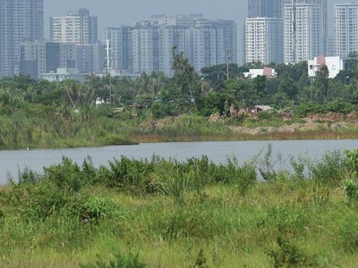 Chiêu "hô biến" đất 99Kl99 trực tiếp đá gà tại Tổng công ty 3-2