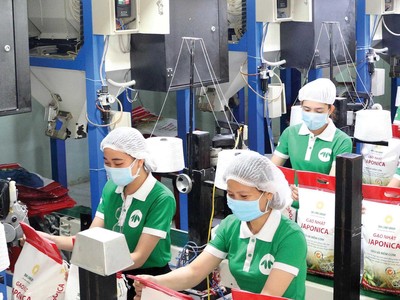 Xuất khẩu gạo 2 tháng đầu năm có sản lượng và giá bán tốt hơn hẳn cùng kỳ.