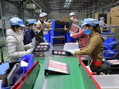 (Ảnh minh họa: Thanh Thương/TTXVN).