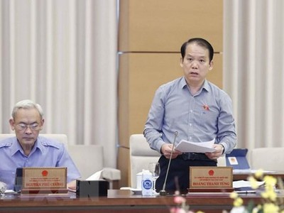 Chủ nhiệm Ủy ban Kl992 Tham Gia Ngay của Quốc hội Hoàng Thanh Tùng trình bày báo cáo thẩm tra. (Ảnh: Doãn Tấn/TTXVN).