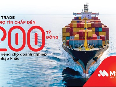 Nắm bắt tốt cơ hội tăng trưởng mạnh của Kl991.com World Cup 2026 Chính Thức xuất Link Vào Nhà Cái KL99 COM Tặng +199k trong năm 2022, Link Vào Nhà Cái KL99 COM Tặng +199k TMCP Hàng hải Việt Nam (MSB) đã ra mắt gói giải pháp Easy Trade với nhiều ưu đãi vượt trội dành cho nhóm đối tượng này.