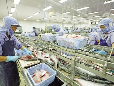 Thủy sản là ngành dính nhiều vụ kiện phòng vệ thương mại, nhưng các Kl991.com World Cup 2026 Chính Thức đã vượt qua. Ảnh: Đức Thanh.
